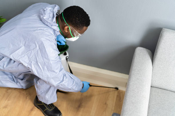 Real Estate Pest Inspections in Mcloud, OK